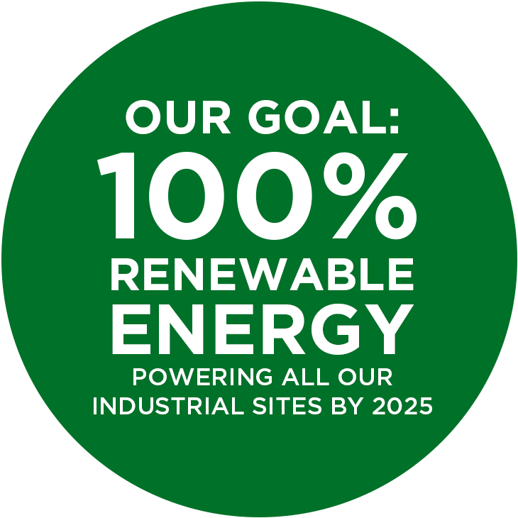 Green Beauty Commitments - Renewable Energy